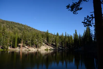 DSC_9950 (Large).JPG